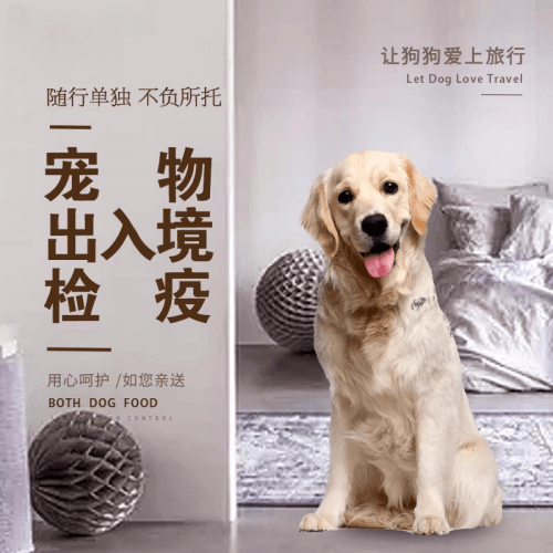 黄浦区宠物托运到哥伦比亚猫狗宠物入境规定和