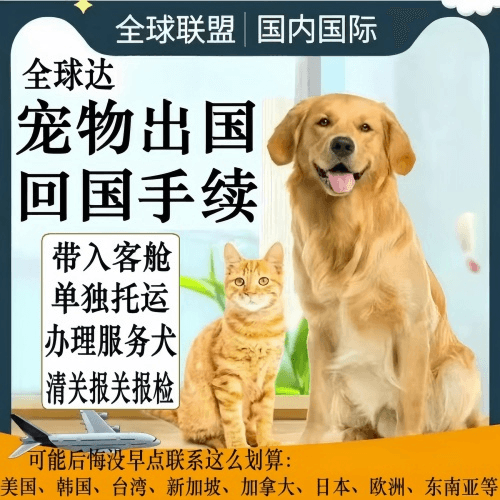 黄浦区宠物托运到柬埔寨宠物入境规定和要求