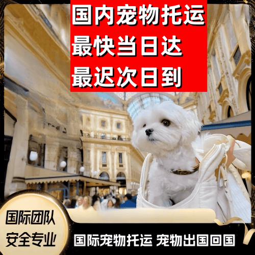 黄浦区到澳大利亚（澳洲）宠物入境规定和要求